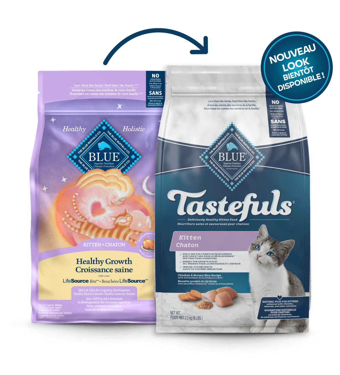 blue croissance saine recette poulet et riz brun pour chatons chat nourriture sèche