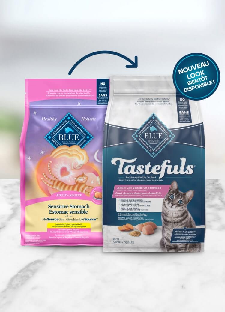 Tastefuls white background