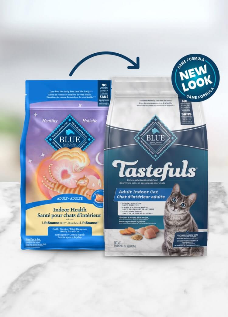 blue tastefuls adult indoor chicken & brown rice recipe cat dry food