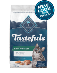 Blue online diamond cat