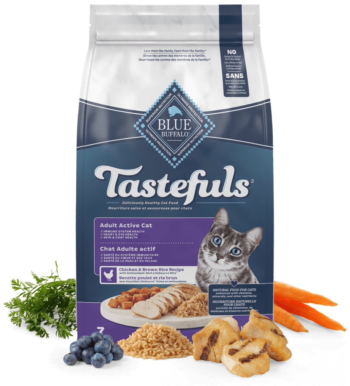 Blue Buffalo Tastefuls Dry Active Cat food