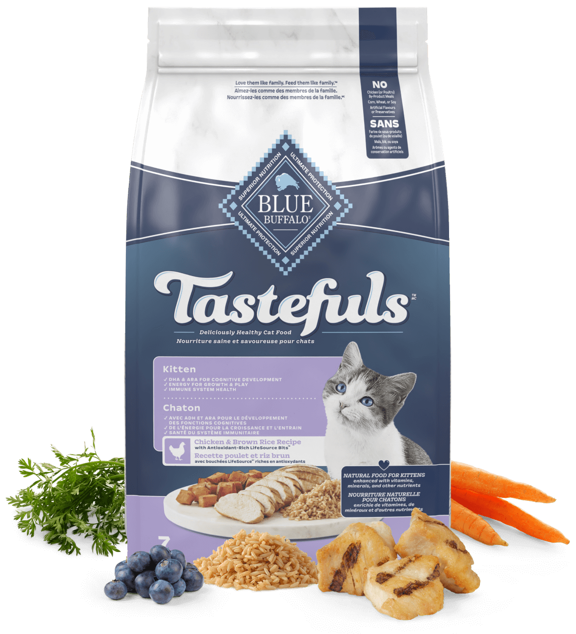 Natural food for kittens best sale