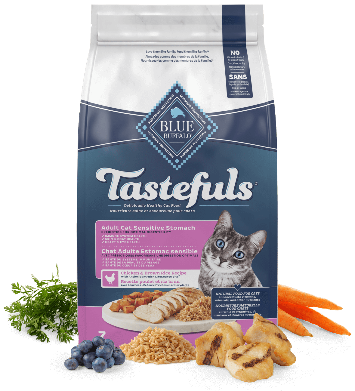 Blue Buffalo Tastefuls Dry Sensitive Stomach Cat food