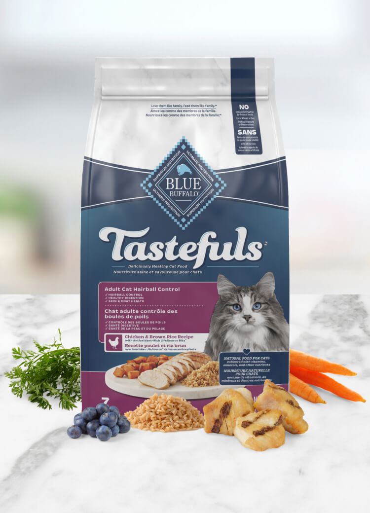 Blue Buffalo Tastefuls Dry Hairball Control Cat food