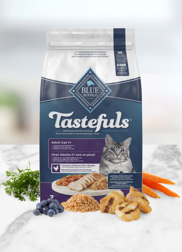 Is it ok to feed older cats kitten food best sale