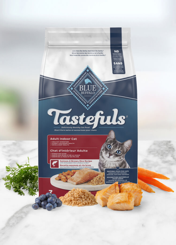 Blue Buffalo Tastefuls Dry Salmon Cat food