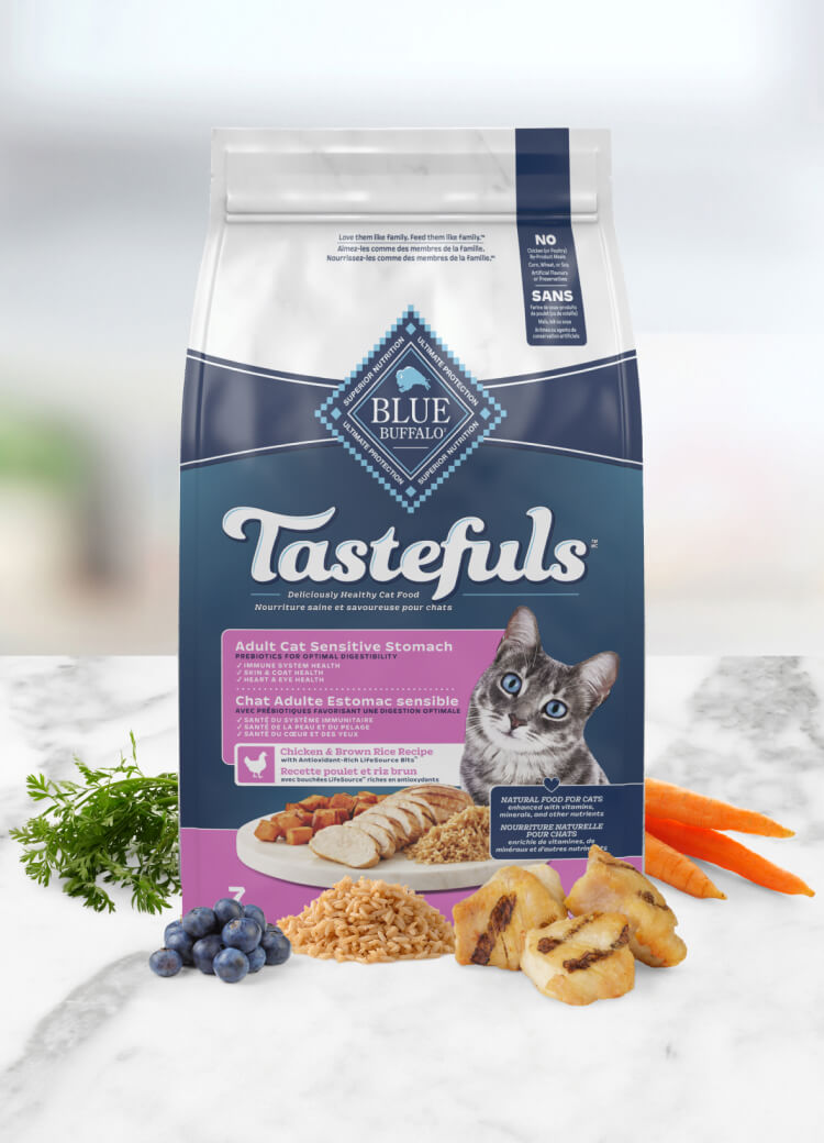 Blue Buffalo Tastefuls Dry Sensitive Stomach Cat food