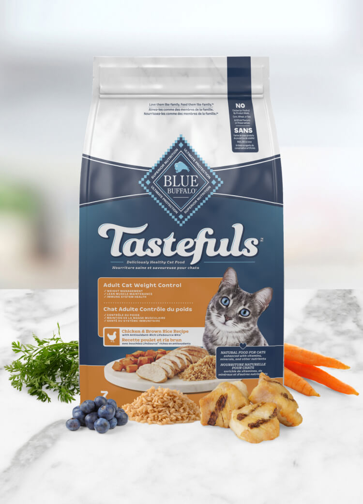 Blue buffalo healthy growth natural kitten dry cat food hotsell