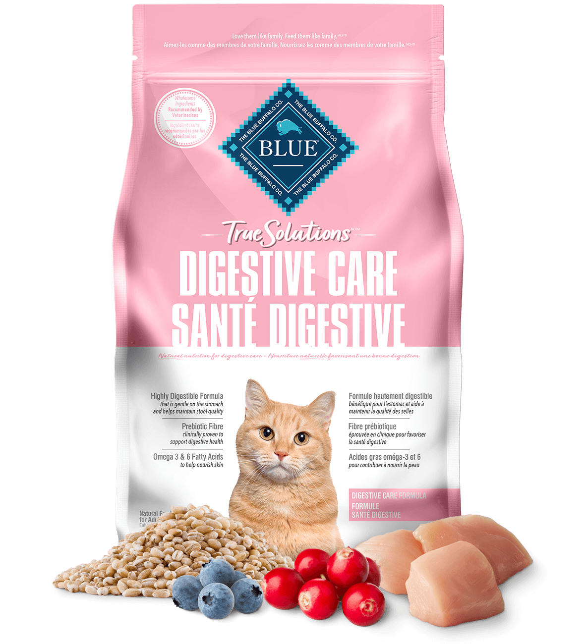 BLUE True Solutions Best Life Adult Dry Cat Food Digestive Care