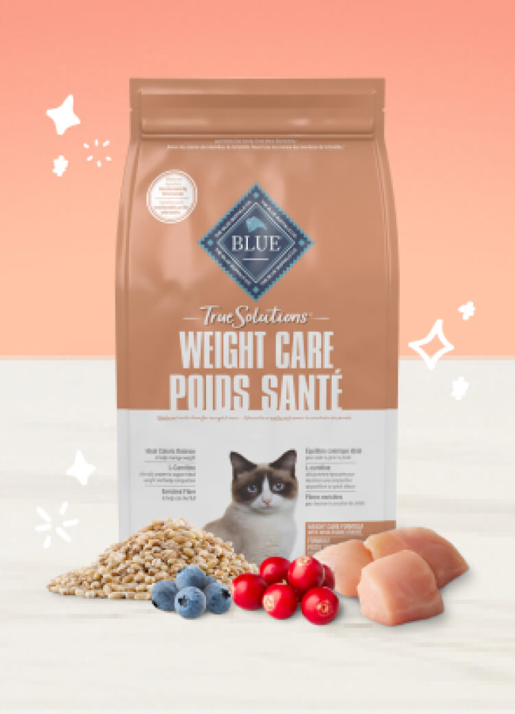 True Solutions Dry Cat Weight Care