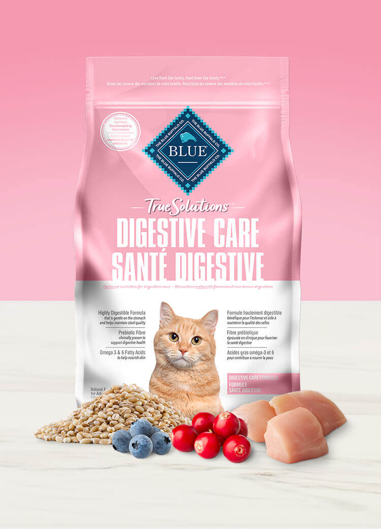 True solutions dry cat dgiestive care canned food