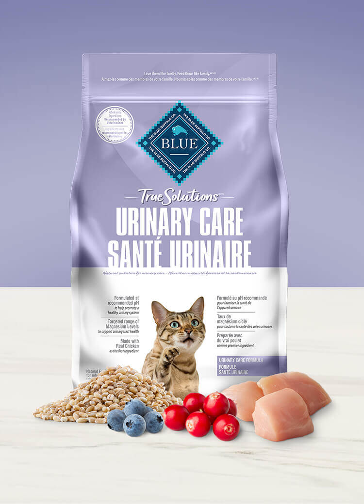 Best dry cat 2025 food for uti prevention