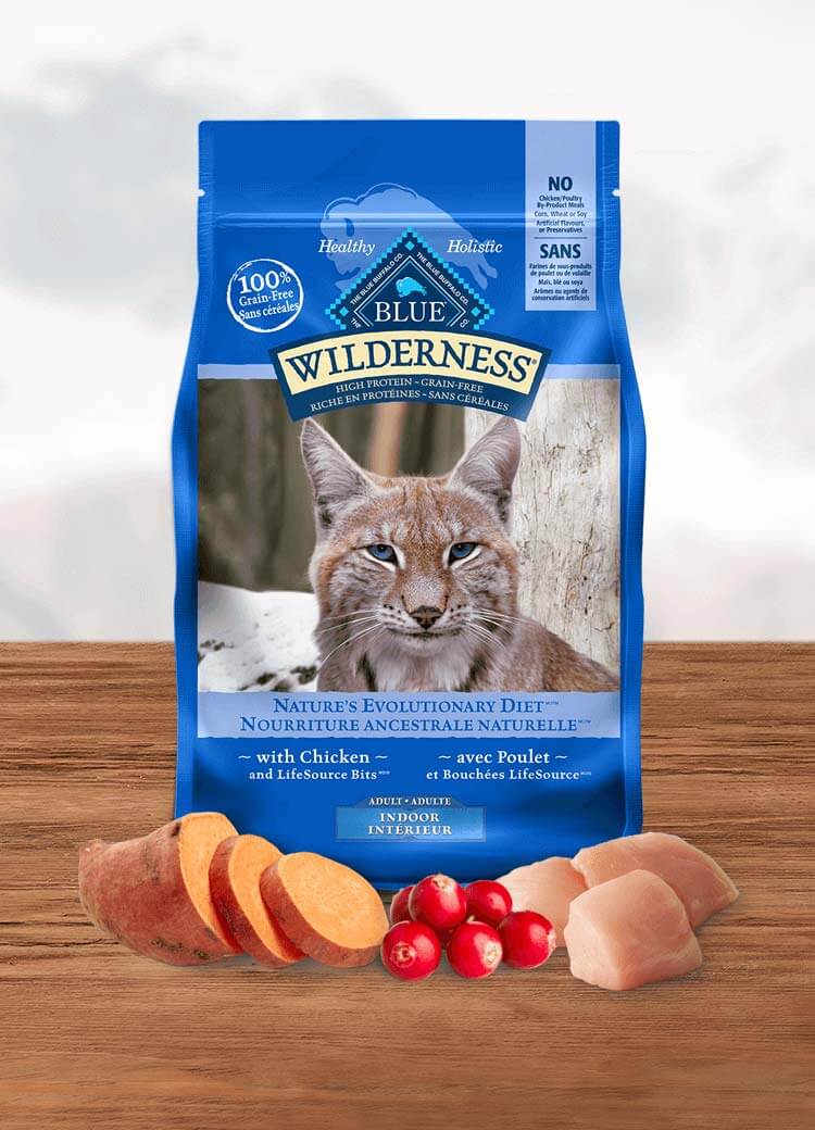 blue buffalo wilderness dry cat food