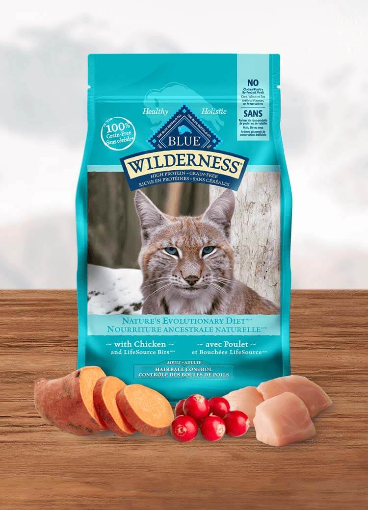 blue buffalo wilderness dry cat food