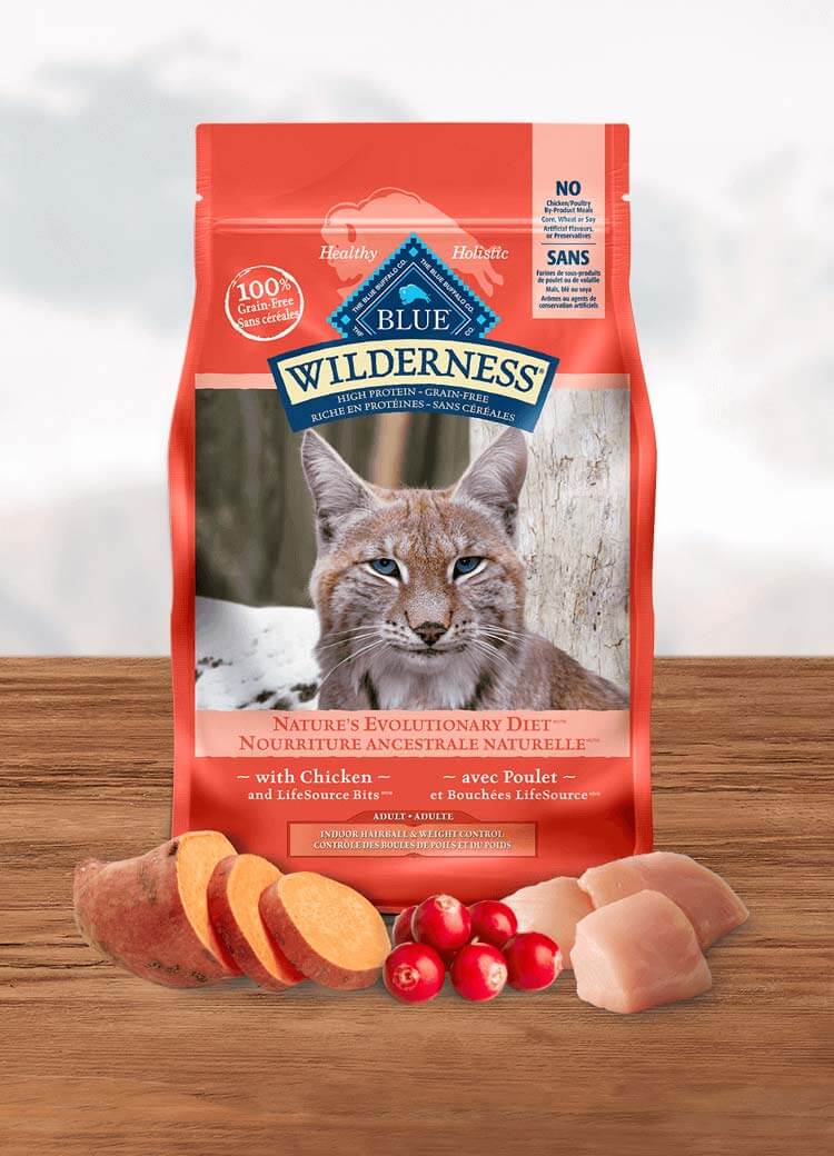 blue buffalo wilderness dry cat food