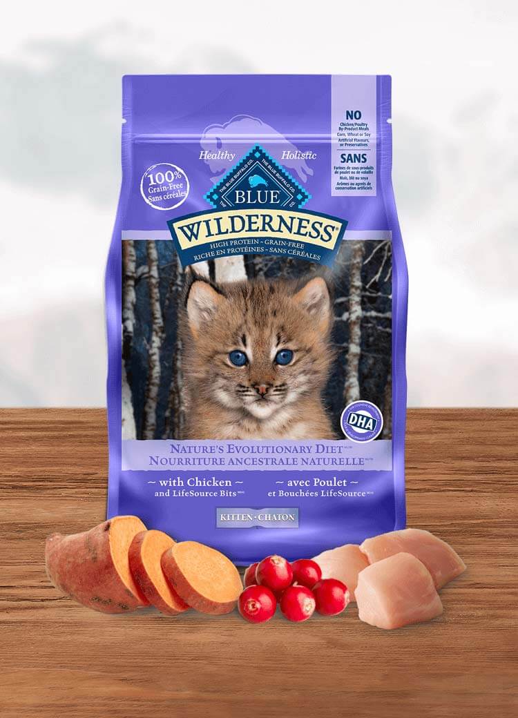 blue buffalo wilderness dry cat food