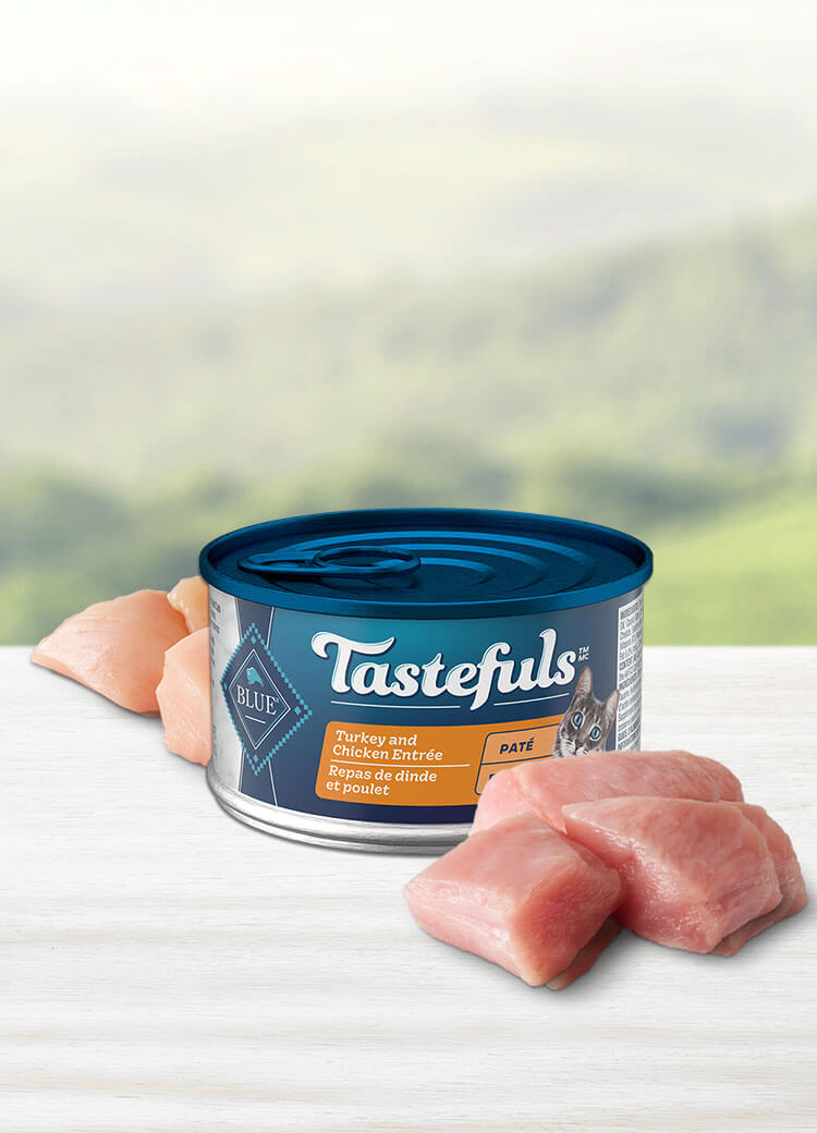 BLUE Tastefuls Adult Wet Cat Food Turkey Chicken Pate