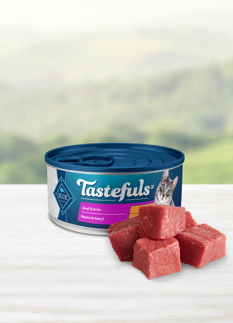 blue buffalo tastefuls cat food