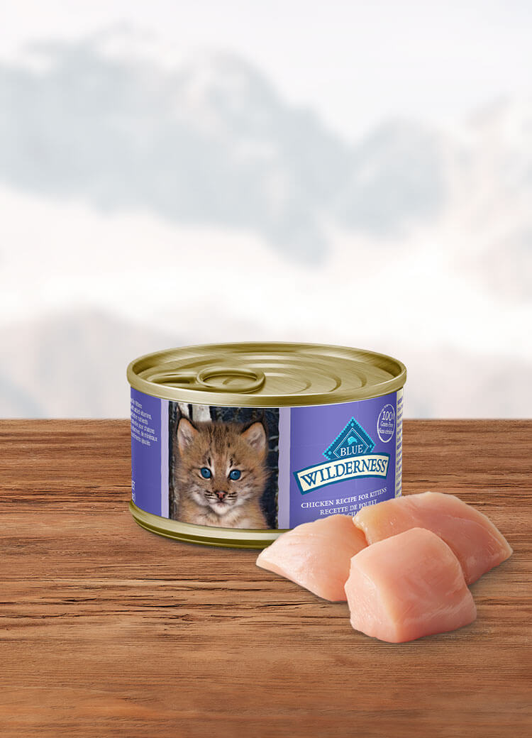 Canada Wild chicken kitten wet cat food