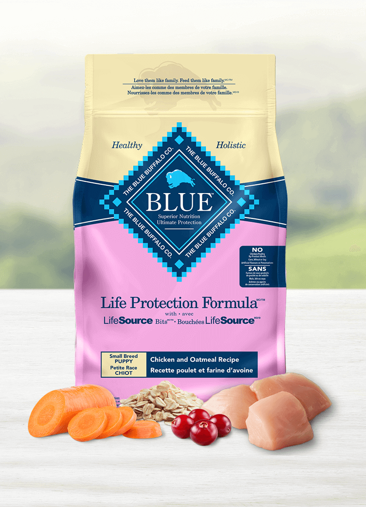 life protection formula dry small breed puppy dog food chicken and oatmeal