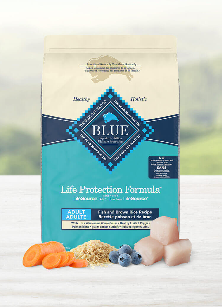 blue buffalo life protection formula dog food