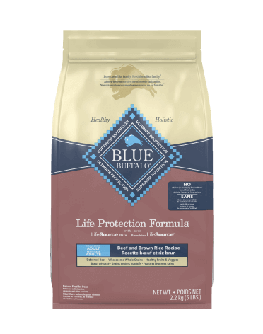 Blue buffalo dog food for small dogs outlet