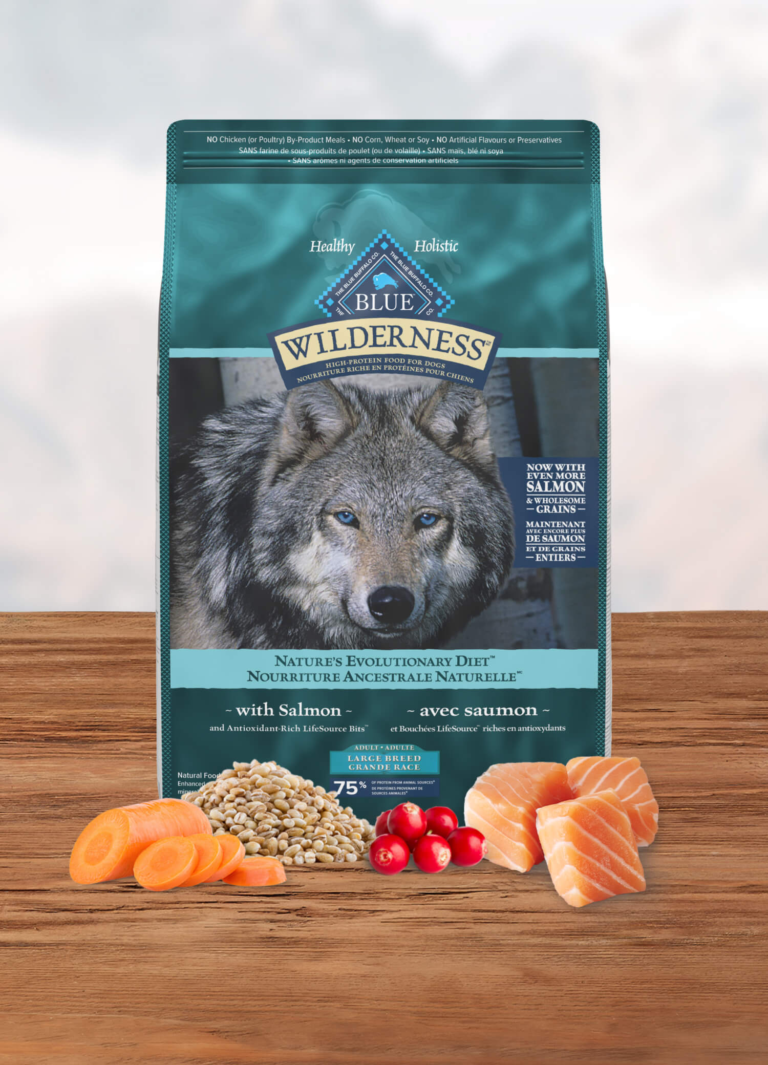Wilderness Large Breed Salmon Adult Dog Food Bag