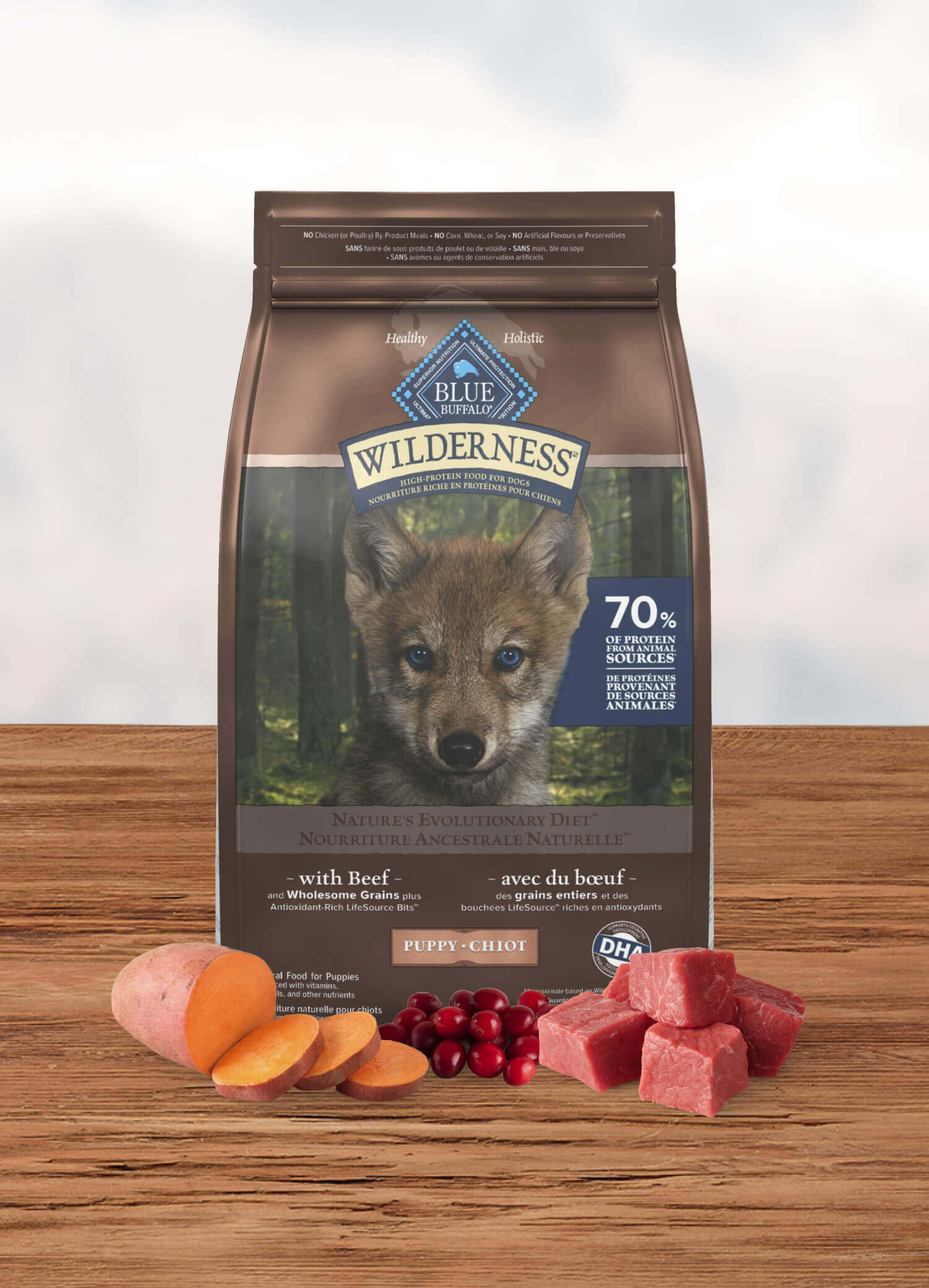 Wilderness Puppy Beef with Wholesome Grains Recipe Bag of Dog Food
