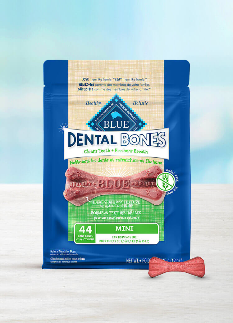 Canada LPF Dental Bones mini dog treats