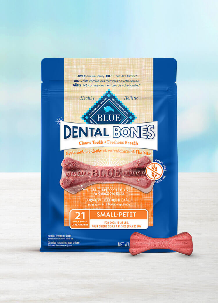 Canada LPF Dental Bones small dog treats