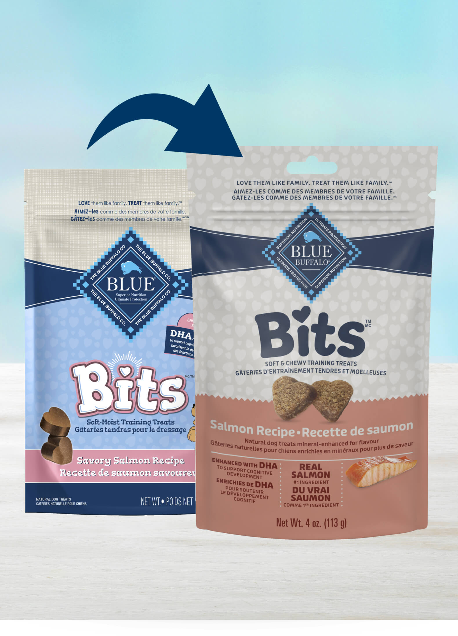 Blue Buffalo Bits Salmon Recipe Dog Treats, 4 oz bag