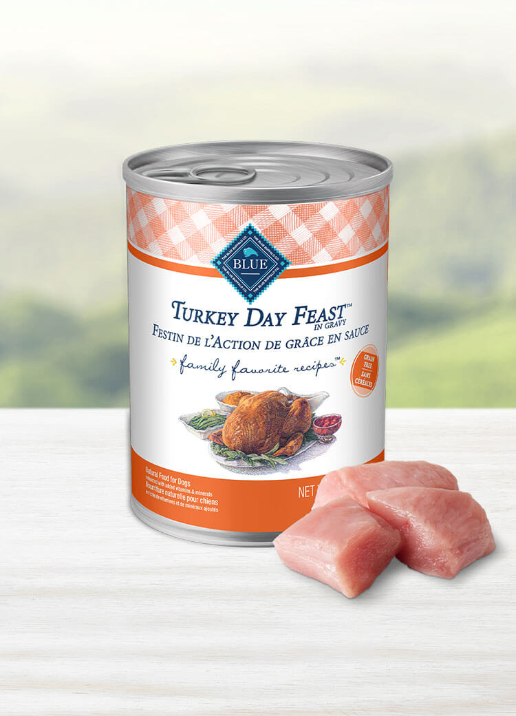 Canada LPF turkey day feast adult wet dog food