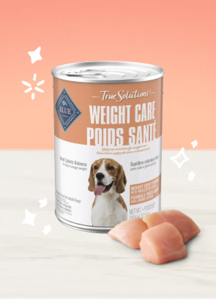 True Solutions Wet Dog Weight Care