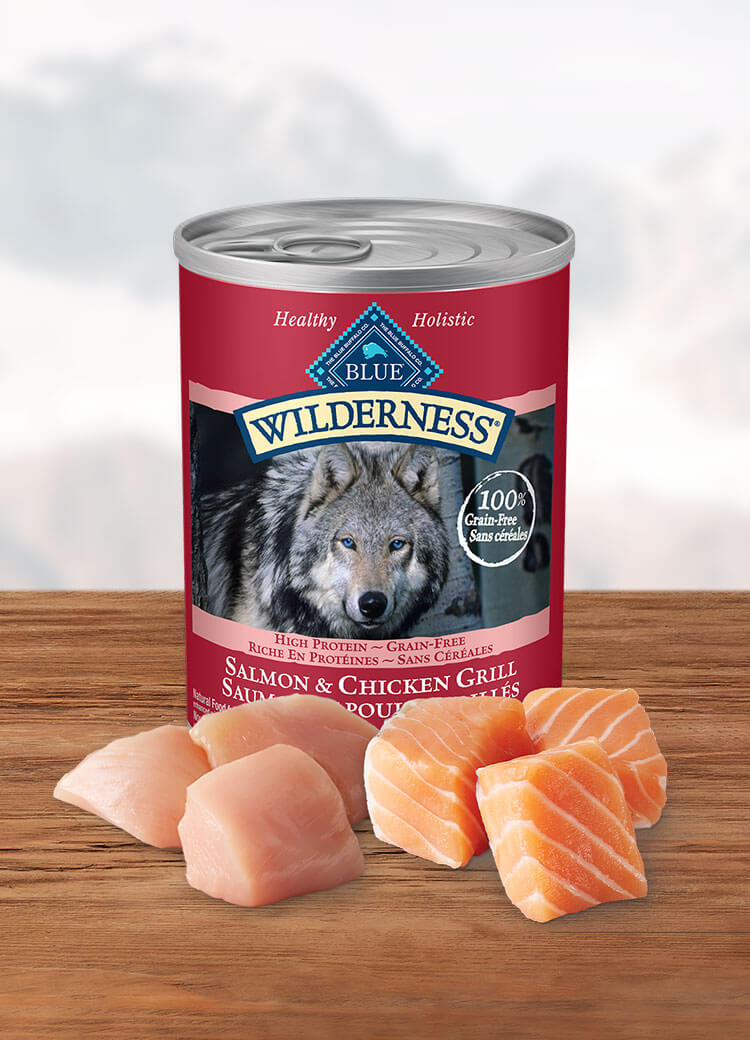 Canada Wilderness salmon and chicken adult canned wet dog food