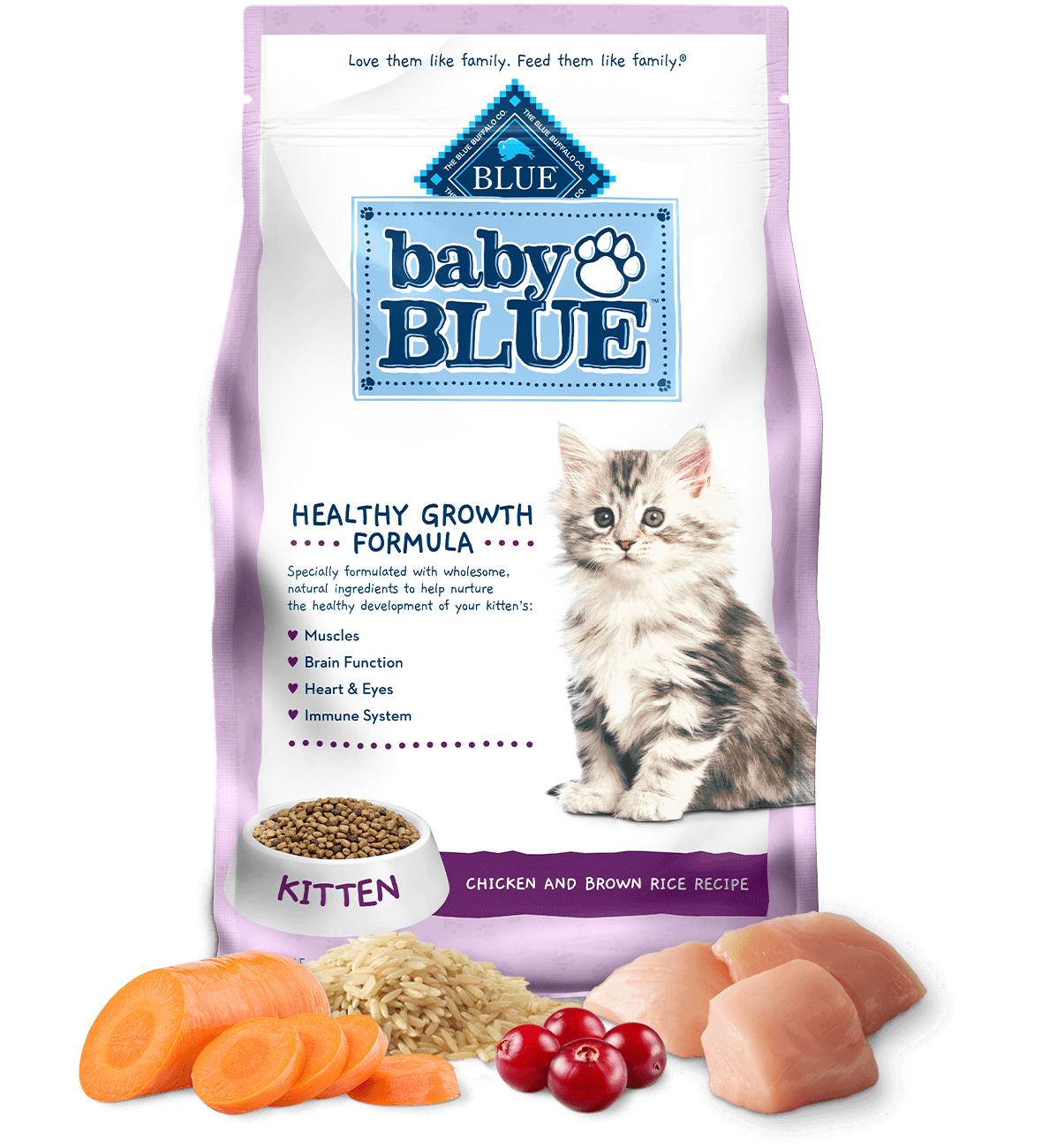 baby blue kitten chicken & brown rice recipe cat dry food