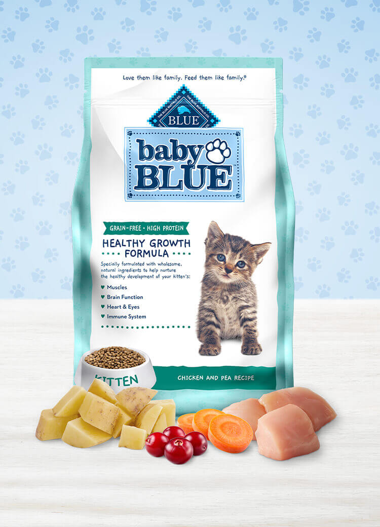 Baby cat shop food at home