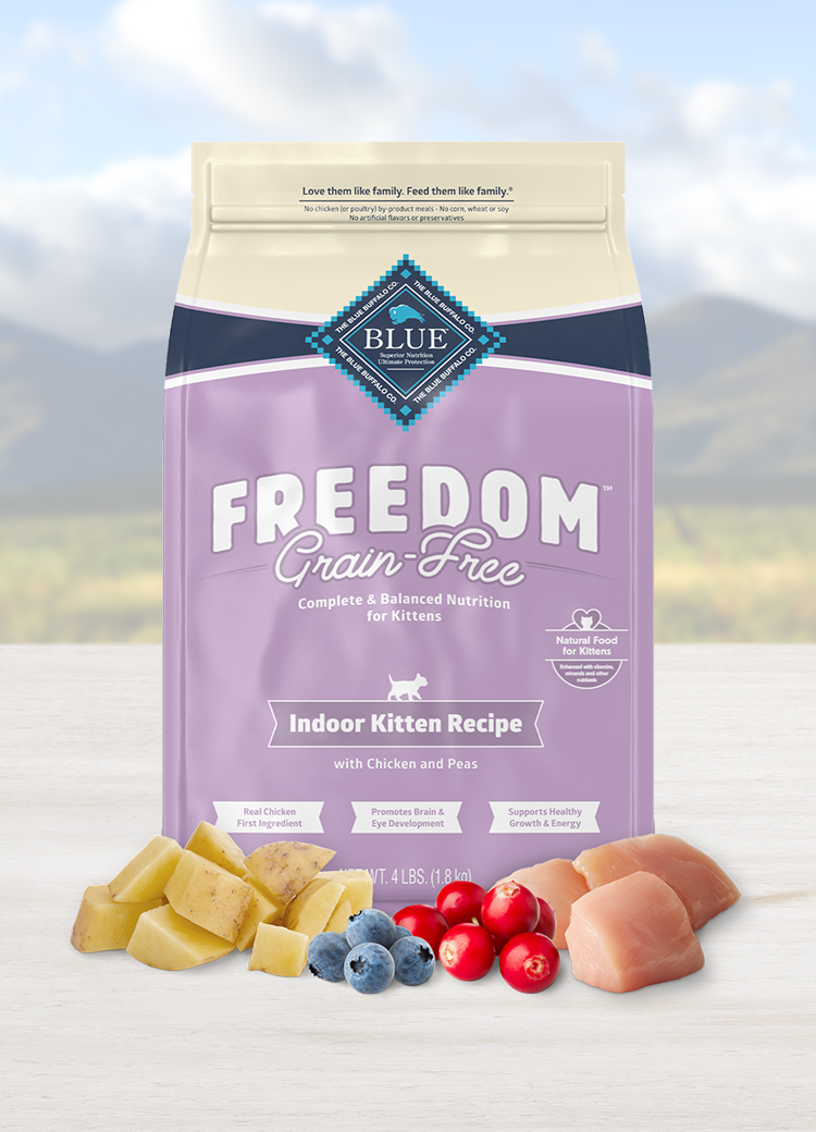 Blue buffalo grain free best sale kitten food