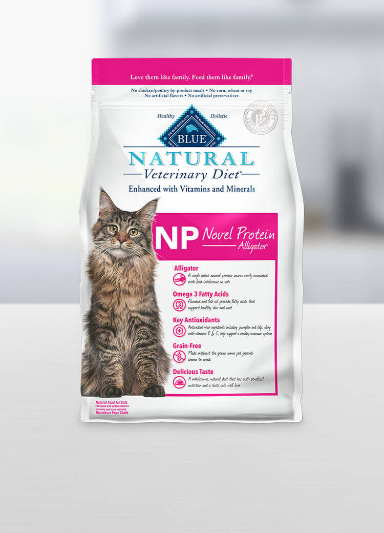 the best grain free dry cat food