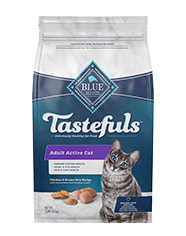 one taste cat food