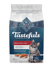 Blue kitten food sale