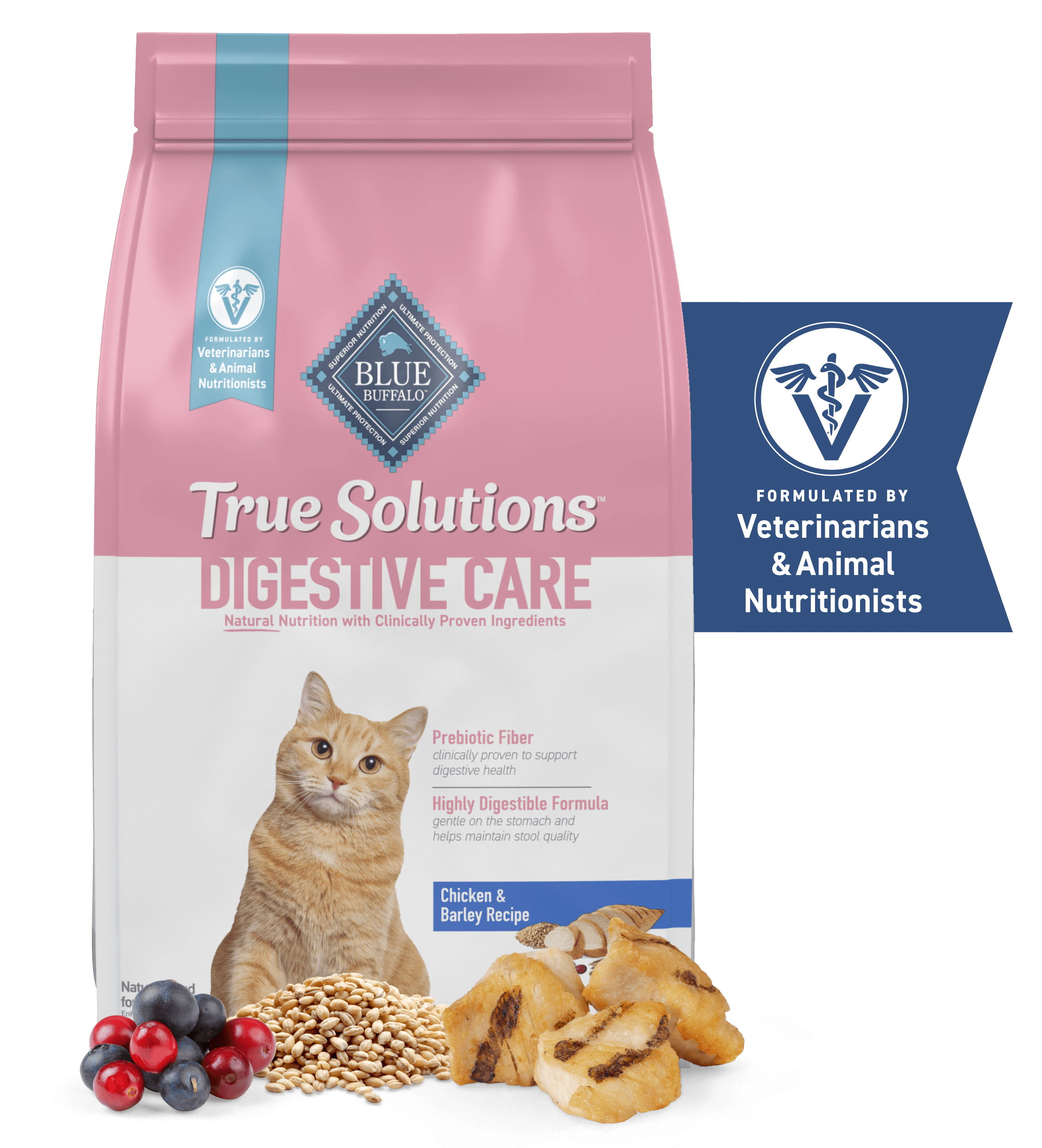 BLUE True Solutions Best Life Adult Dry Cat Food Digestive Care