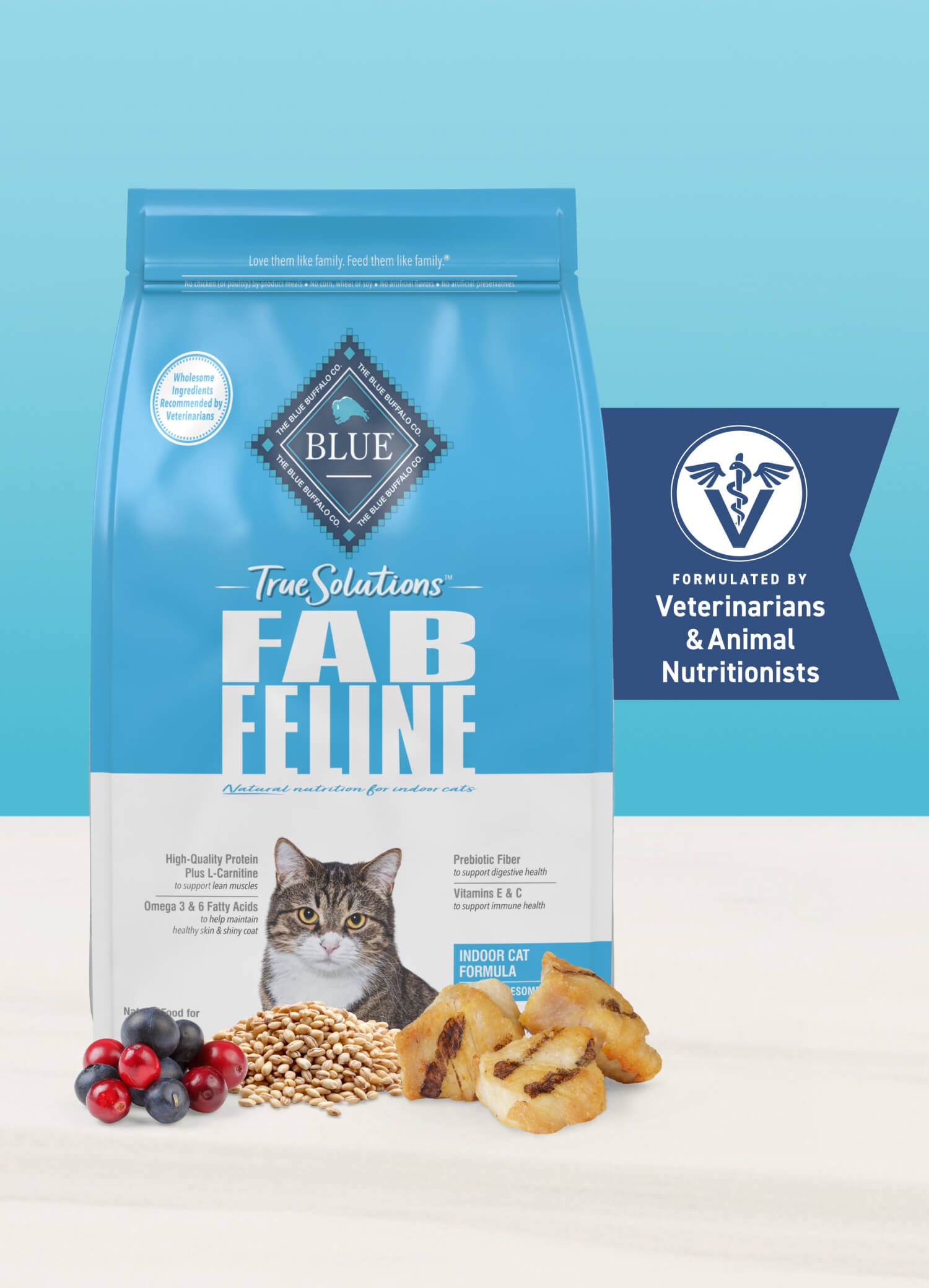 BLUE True Solutions Best Life Adult Dry Cat Food Indoor Cat