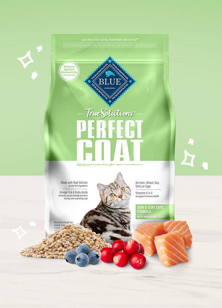 Can a Healthy Cat Eat Kidney Care Food? Discover the Truth Today!