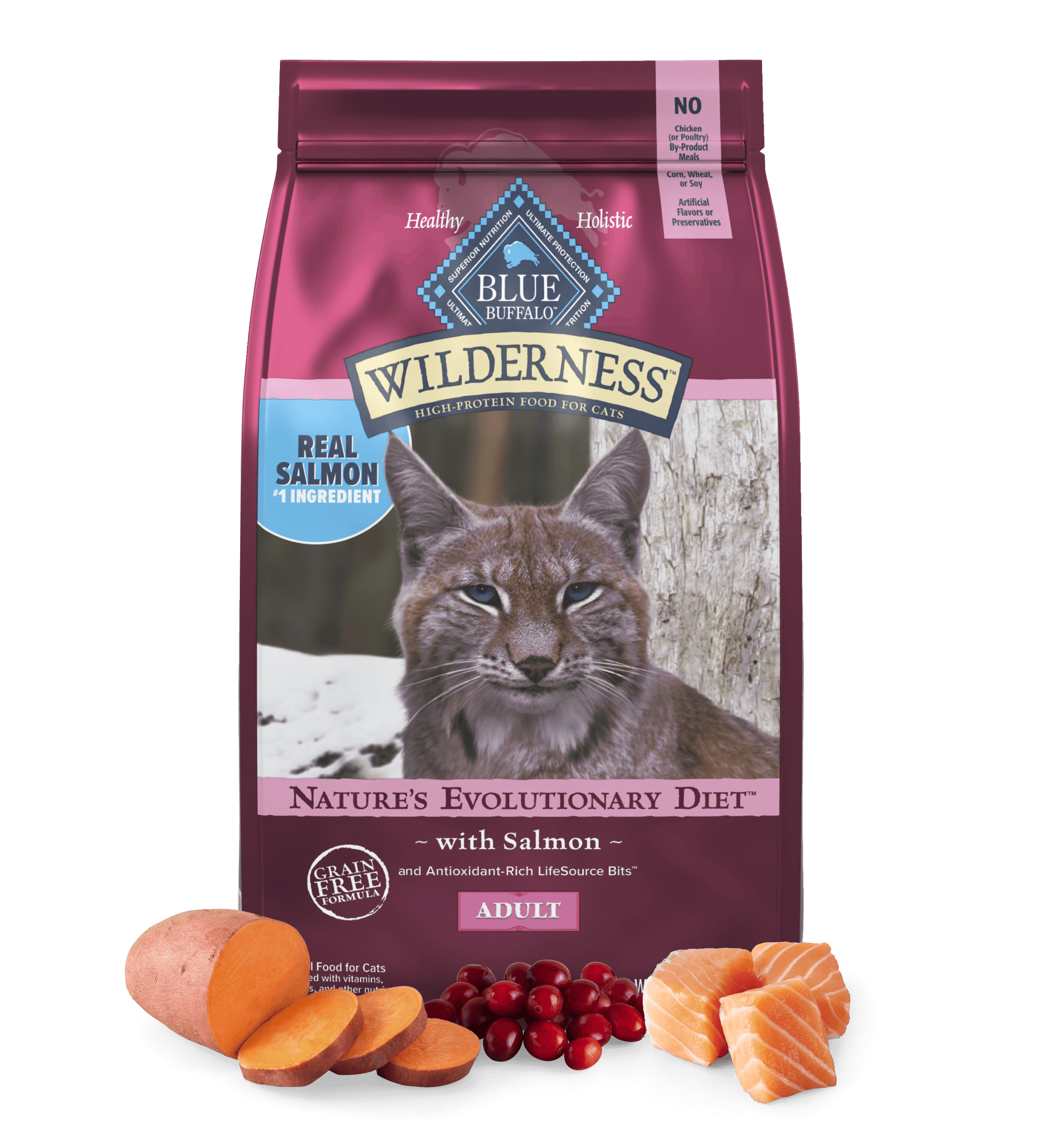 Blue Wilderness Adult Cat Salmon Dry Cat Food