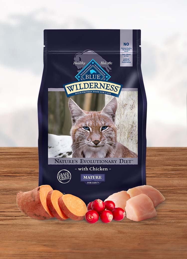 https://bluebuffalo.com/globalassets/product-detail-pages/cat-dry-food/wilderness/mobile-product-image/wild_cat_dry_mature_chicken_mobile.jpg