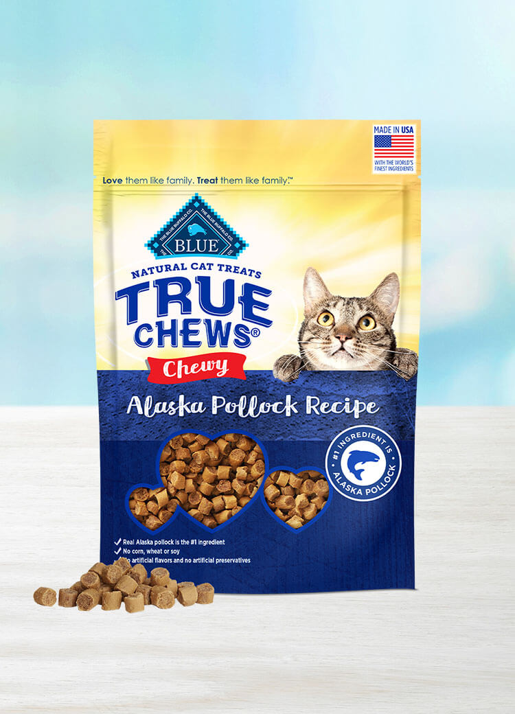 Chewy cheap kitten food