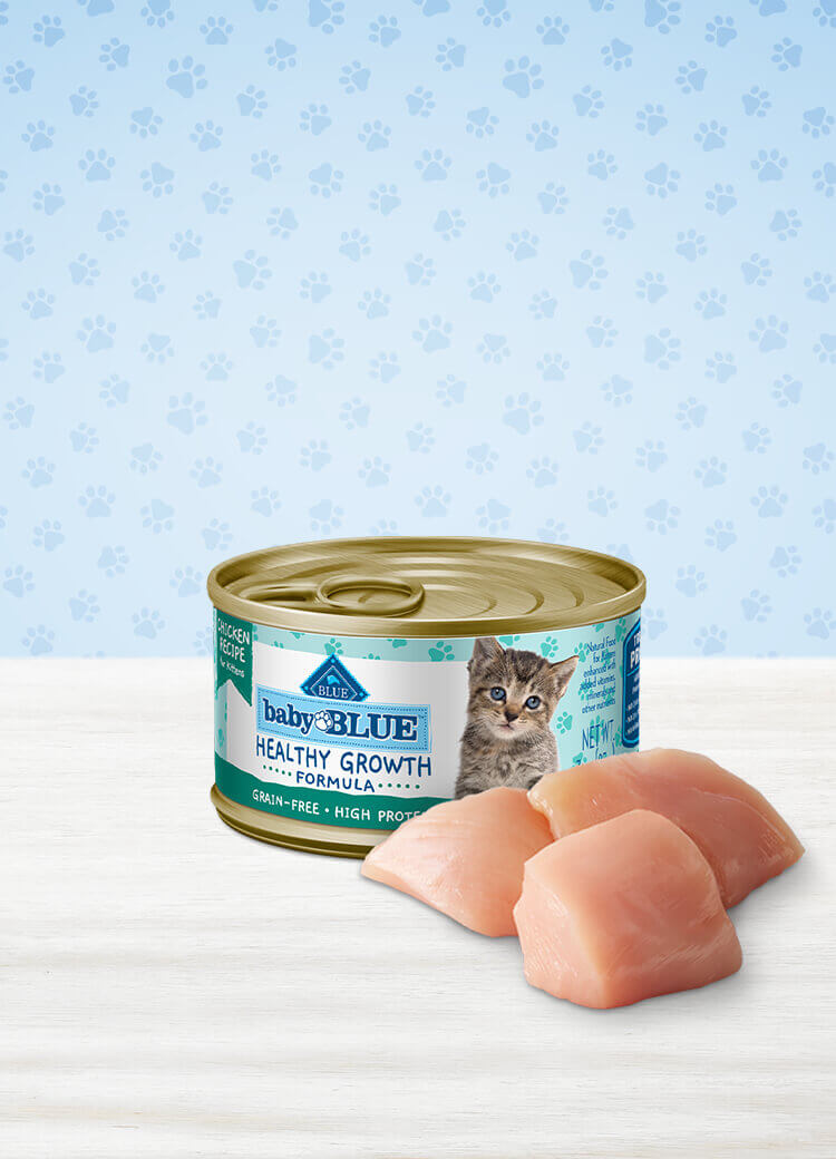 Blue healthy store growth kitten food