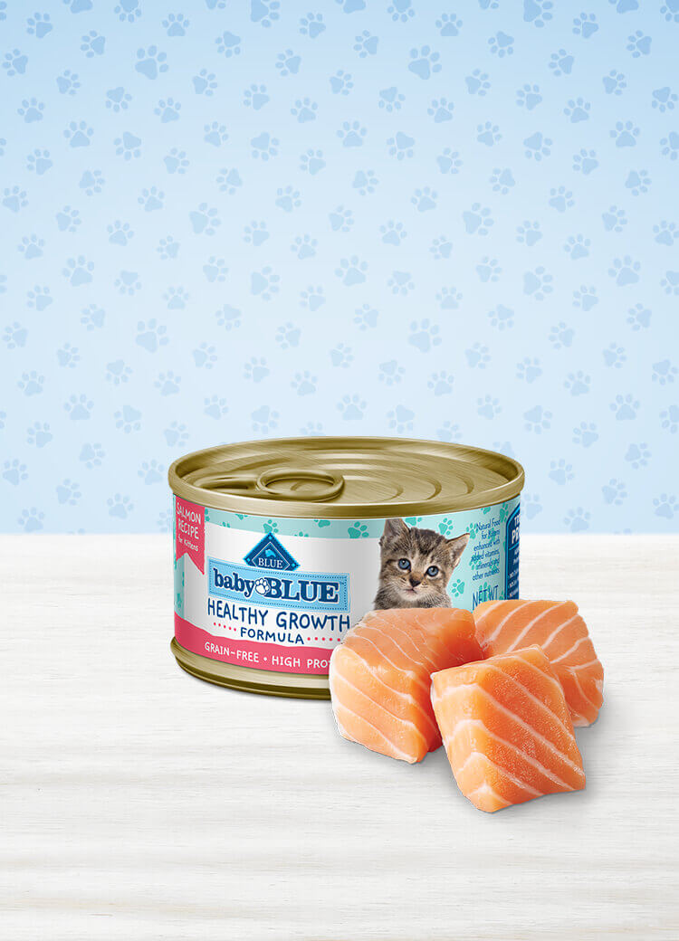 Baby BLUE Grain Free High Protein Salmon Wet Kitten Food Blue