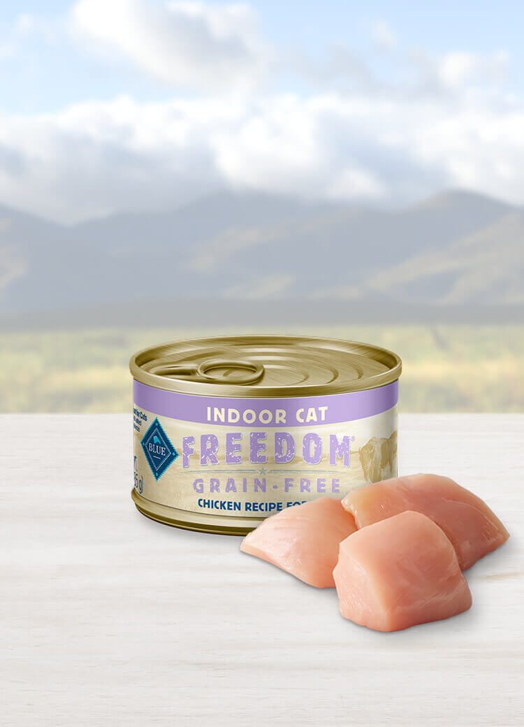 Blue freedom 2025 canned cat food