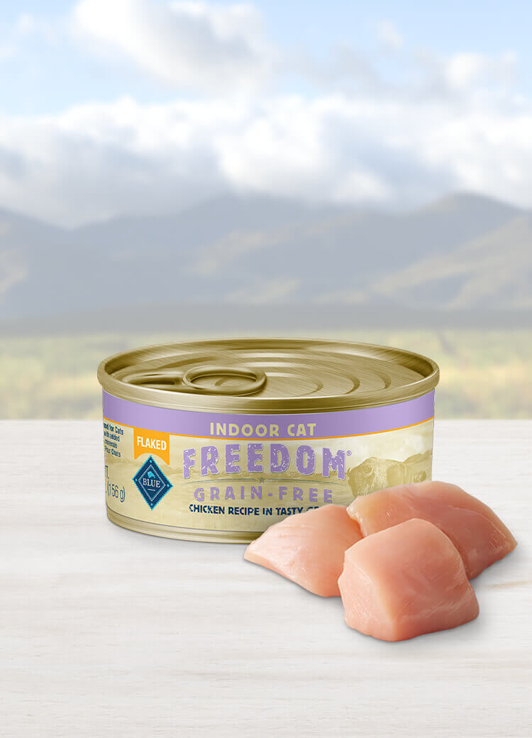 Blue freedom 2025 canned cat food